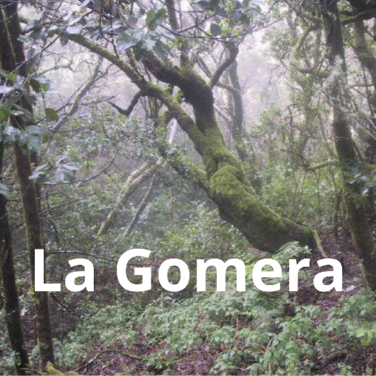 On a trip to… La Gomera