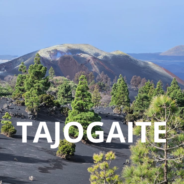 Resilience and the Tajogaite volcano of La Palma
