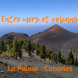Hiking-coaching La Palma