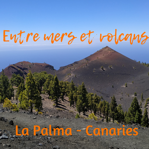 Paysage de la Palma